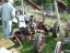 2007 tracteurs 0036